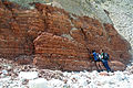 Hunstanton Formation ("Red Chalk") exposed south of Speeton Cliffs, North Yorkshire.