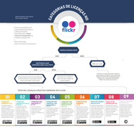 Infográfico Flickr.png