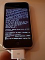 iPhone kernel panic