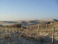 A photo of seaside dunes