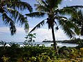 Samoa coastline scenery