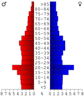 Bevolkingspiramide Black Hawk County