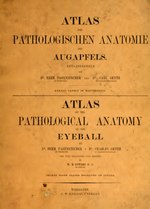 Thumbnail for File:Atlas der pathologischen Anatomie des Augapfels (IA b21515220).pdf