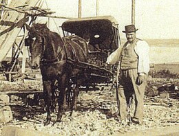 Black and white photo of a black man in white shirt and vest standing next to a horse and carriage