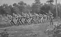 A postcard depicting a convict team ploughing a farm at Port Arthur, dated 1926