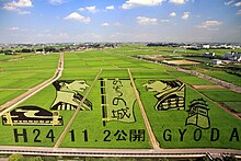 Photo couleur d'une rizière dans laquelle les plants de riz de couleurs différentes font deux profils de personnages historiques.