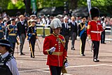 A colonel wearing full dress uniform at the Lying in State of Queen Elizabeth II (2022).