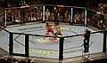 Image 40UFC 74 ; Clay Guida vs. Marcus Aurelio (from Mixed martial arts)