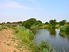 Pevensey Marshes