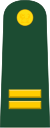 Lieutenant