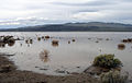 Silver Lake, north of Baker, California, after a flood in March 2005.