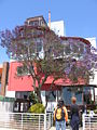 Casa de Pablo Neruda em Valparaíso