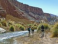 Rio San Pedro, San Bartolo, Atacama, Chile