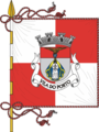 Bandeira de Vila do Porto