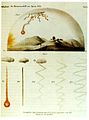 Hraschina meteorite, Drawings of the fall