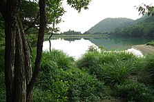 Akitani Pond: Where Seita and Setsuko lived alone together