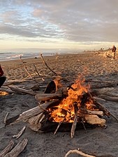 Beach bonfire