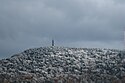 Frost on Mt Greylock, from Notch Rd, Adams MA