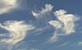 Virga clouds