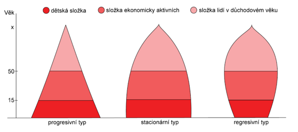 Typy věkových pyramid