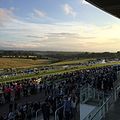 Image 109Epsom Downs, a racecourse which hosts The Derby annually. One of four in the county. (from Portal:Surrey/Selected pictures)