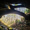 Image 49The Natural Bridge Rock in Winston County is the longest natural bridge east of the Rockies. (from Alabama)