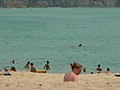 Uno squalo presso una spiaggia in Cornovaglia