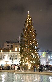 The Trafalgar Square Christmas tree