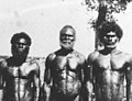 Image 49Men from Bathurst Island, 1939 (from Aboriginal Australians)