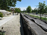 Jardin botanique