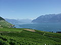 Image 4Lavaux vineyards (from Culture of Switzerland)