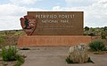 Petrified Forest National Park