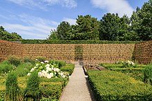 Frontale Farbfotografie von einer eingezäunten Grünfläche. Ein Kiesweg verläuft zentral durch die Grünfläche, die aus vielen niedrigen Büschen und einigen weißen Blumensträuchern besteht. Der Zaun besteht aus ungefähr elf Buchstabenreihen und wird im Hintergrund von einer großen Hecke überragt.