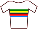 Weltmeistertrikot