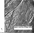 Îles dans Maja Valles dont la forme particulière suggère une ancienne circulation d'eau.