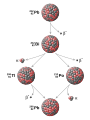 Image 5Example of a radioactive decay chain from lead-212 (212Pb) to lead-208 (208Pb) . Each parent nuclide spontaneously decays into a daughter nuclide (the decay product) via an α decay or a β− decay. The final decay product, lead-208 (208Pb), is stable and can no longer undergo spontaneous radioactive decay. (from Radiometric dating)