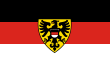 Vlag van Reutlingen