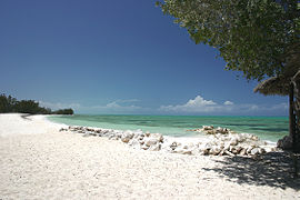 The North Beach of Small Hope Bay Lodge