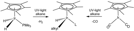 Skeletal formula presentation of a chemical transformation. The initial compounds have a C5H5 ring on their top and an iridium atom in the center, which is bonded to two hydrogen atoms and a P-PH3 group or to two C-O groups. Reaction with alkane under UV light alters those groups.