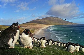 Ilhas Falkland, território ultramarino do Reino Unido.