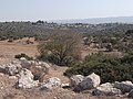 Moshav Aderet seen in the distance from Horvat Rebbo/Khurbet RubbaKhurbet Rubba