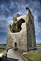 Gaeilge: Caisleán Charraig an Phoill English: Carrigafoyle Castle