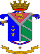 CoA mil ITA rgt genio 08