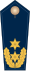 Blue epaulette with 2 golden stars and oak leaves