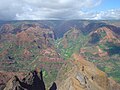 Image 24Waimea Canyon, Hawaii, is known for its montane vegetation. (from Montane ecosystems)