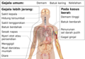 Bahasa Indonesia (indonésien)