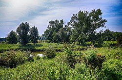 Oostvaardersplassen (municipality of Lelystad)