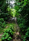 Lake City and Rochester Stage Road-Mount Pleasant Section