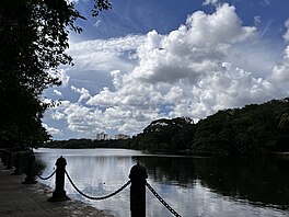 People rowing in Rabindra Sarovar