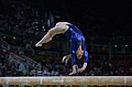 Image 17 Daniele Hypólito Photograph credit: Fernando Frazão Daniele Hypólito (born September 8, 1984) is a Brazilian gymnast who competed in the 2000, 2004, 2008, 2012, and 2016 Summer Olympics. This photograph depicts Hypólito performing on the balance beam in the final of the women's artistic team all-around event at the 2016 Olympics in Rio de Janeiro, in which Brazil finished in eighth place. More selected pictures